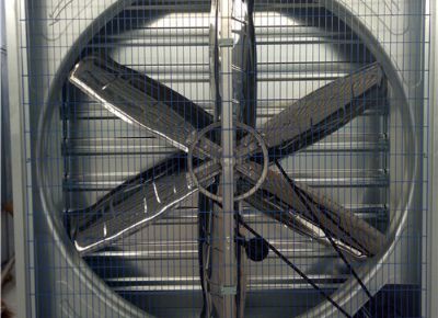 點擊查看詳細信息<br>標題：Heavy Hammer Type Animal Husbandry Fan 閱讀次數(shù)：1673