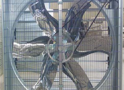 點擊查看詳細信息<br>標題：Push Pull Negative Pressure Fan 閱讀次數(shù)：1465